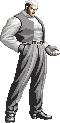 Nightmare White Wolf